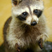 20120210221922_vac_935_2 20120210221922_vac_935_2