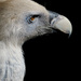 20120211085602_competence1 20120211085602_competence1