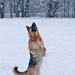 20120212141734_bandit 20120212141734_bandit