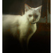 20120212182049_depuis_la_nuit 20120212182049_depuis_la_nuit
