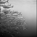 20120212195501_en_queue 20120212195501_en_queue