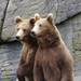 20120212195607_duo_d_ours