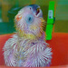 20120214044156_ara_en_devenir 20120214044156_ara_en_devenir