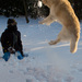 20120214092058_dsc00049_1 20120214092058_dsc00049_1