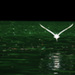 20120213100823_sumidero_046_copie15_10 20120213100823_sumidero_046_copie15_10