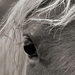 20120213152323_reflet_dans_un_oeil 20120213152323_reflet_dans_un_oeil