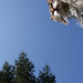 20120214101135_lechatducoin 20120214101135_lechatducoin