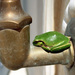 20120214130449_grenouille_oleron_jacques_revon 20120214130449_grenouille_oleron_jacques_revon