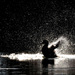 20120214145451_canard_au_canal 20120214145451_canard_au_canal
