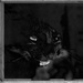 20120214193038_chat_tuffant 20120214193038_chat_tuffant