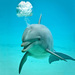 20120214181825_a_bubble___10_04_2011___15h58___01 20120214181825_a_bubble___10_04_2011___15h58___01