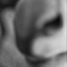 20120214195134_oh_mon_âne_ 20120214195134_oh_mon_âne_