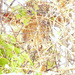 20120214203418_camouflage_2