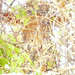 20120214203418_camouflage_2 20120214203418_camouflage_2