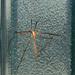 20120215141337_photo_018_copie 20120215141337_photo_018_copie