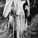 20120215145155_apparition_hormoz 20120215145155_apparition_hormoz