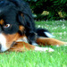 20120215221346_263180_2010224389459_1659224876_1905220_7214102_n 20120215221346_263180_2010224389459_1659224876_1905220_7214102_n