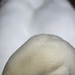 20120215230245_le_profil 20120215230245_le_profil