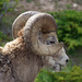 20120214204639_dsc_3805___version_2 20120214204639_dsc_3805___version_2