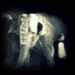 20120214211914_elephantome_concours_competence_photo_ 20120214211914_elephantome_concours_competence_photo_