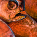 20120214214602_agonie_harsch 20120214214602_agonie_harsch