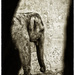 20120214224356_elephant_0808 20120214224356_elephant_0808