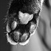 20120215100045_bobpatte 20120215100045_bobpatte