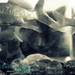 20120215103541_gribou_poissons 20120215103541_gribou_poissons