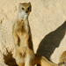 20120215134048_dsc_4279_gf 20120215134048_dsc_4279_gf