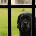 20120215151433__dsc0412_copie 20120215151433__dsc0412_copie