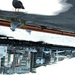 20120215195500_jungle_urbaine_ 20120215195500_jungle_urbaine_