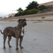 20120215201754_djok_eden_012 20120215201754_djok_eden_012