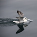 20120215223212_se__re_poser 20120215223212_se__re_poser