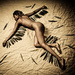 20120214210007_l_essor 20120214210007_l_essor