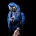 20120214221423_on_se_serre_la_pince 20120214221423_on_se_serre_la_pince
