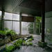 NATURE • Thomas Jorion NATURE • Thomas Jorion