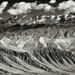 PAYSAGE • Gregory Wait PAYSAGE • Gregory Wait