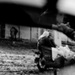 20120408140619_motorbike_copy