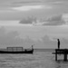 20120409230335_dsc09996bb 20120409230335_dsc09996bb