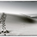  20120409230315_dune_du_pyla_nb_023