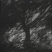 20120410235912_d3 20120410235912_d3
