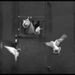20120410185555_1720_8_ukrurb 20120410185555_1720_8_ukrurb