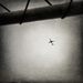 20120410235321_nik90_09062011_dsc4105_v1_deb03_ok_cp_big 20120410235321_nik90_09062011_dsc4105_v1_deb03_ok_cp_big