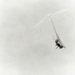 Alain Laboile Alain Laboile
