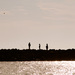 20120518170856_familybyglaucianogueira 20120518170856_familybyglaucianogueira