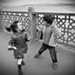 20120519172158__dsc0036_2 20120519172158__dsc0036_2