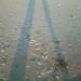 20120526224851_dsc01243__2_ 20120526224851_dsc01243__2_