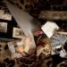 20120606134629_histoire_de_famille_marin_wibaux 20120606134629_histoire_de_famille_marin_wibaux