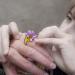 20120608150638_la_bague 20120608150638_la_bague