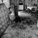 20120610014833_histoires_de_pauvrete 20120610014833_histoires_de_pauvrete
